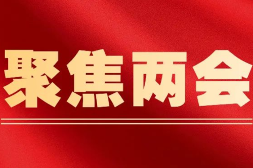  聚焦两会丨天下人大代表、918博天堂集团董事长李寅随团抵达北京